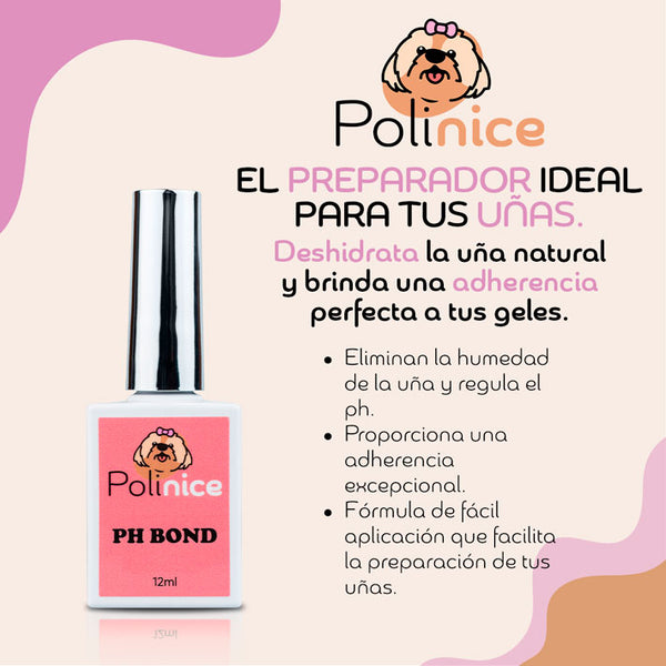 PH Bond Polinice