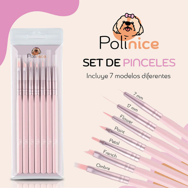 SET DE PINCELES POLINICE