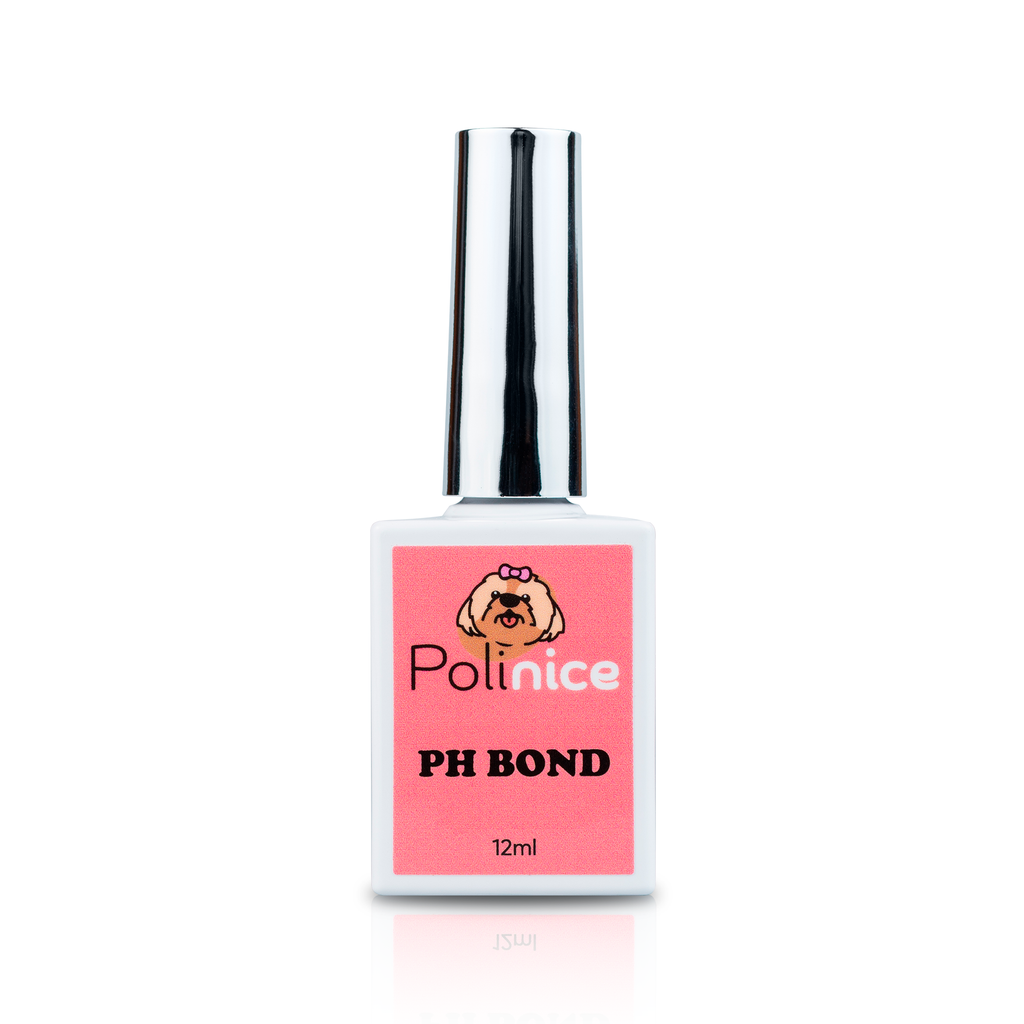PH Bond Polinice